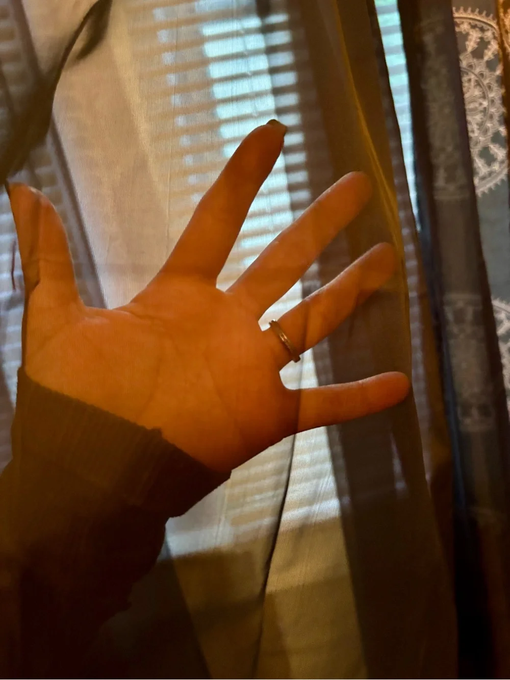 Black Medallion Pattern and Sheer Panel Curtain Sets - Picture 3 of 4